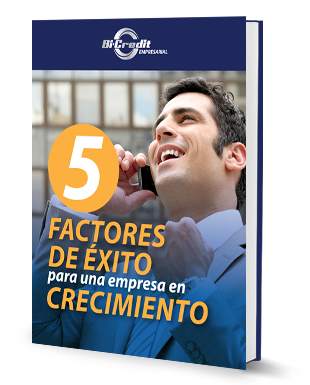 cinco_factores_de_exito.png
