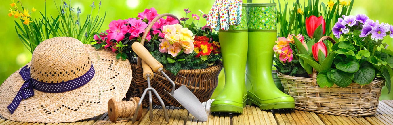 Cómo-remodelar-tu-jardín.jpg Cómo-remodelar-tu-jardín.jpg