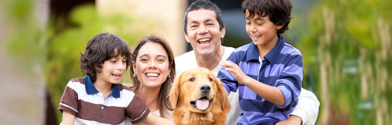 Diferencias-entre-plan-individual-básico-y-completo-de-Salud-Siempre.jpg Diferencias-entre-plan-individual-básico-y-completo-de-Salud-Siempre.jpg