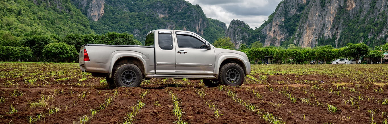 Pick up o panel- Conoce tu mejor opcion