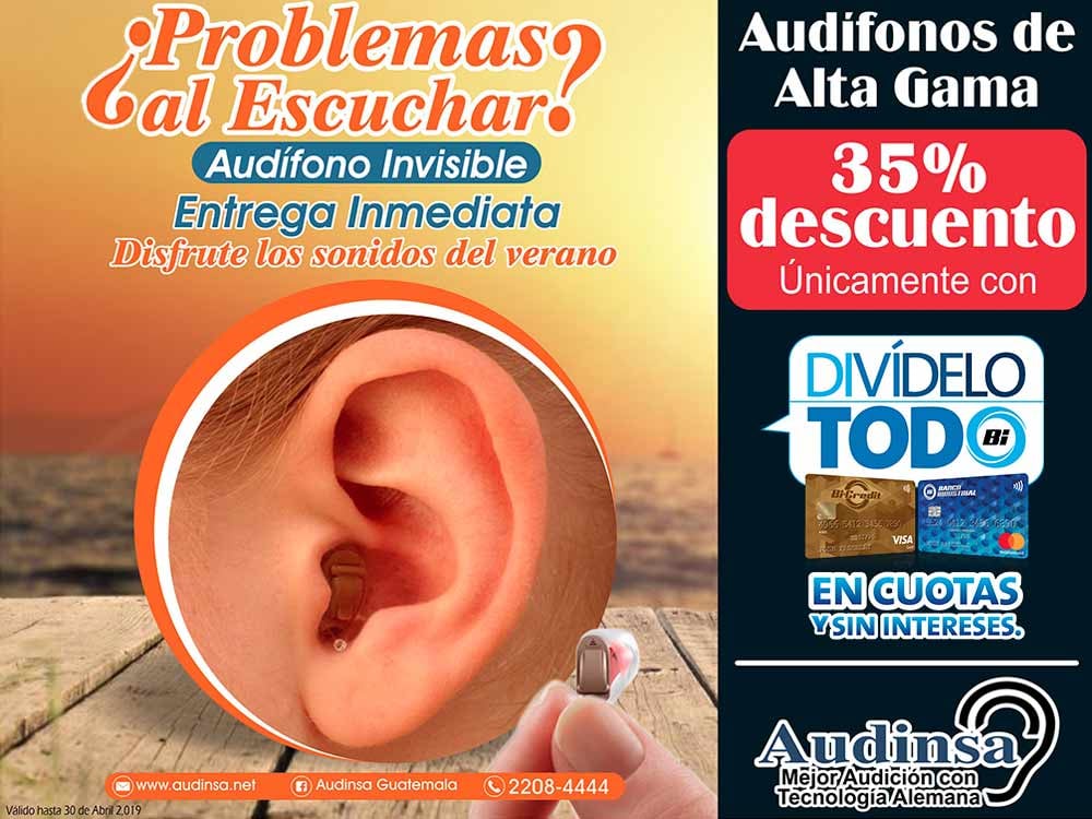 AUDINSA