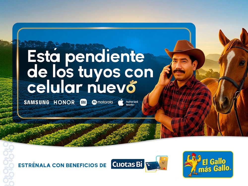 EL-GALLO-MÁS-GALLO-TECNOLOGÍA-WEB-1