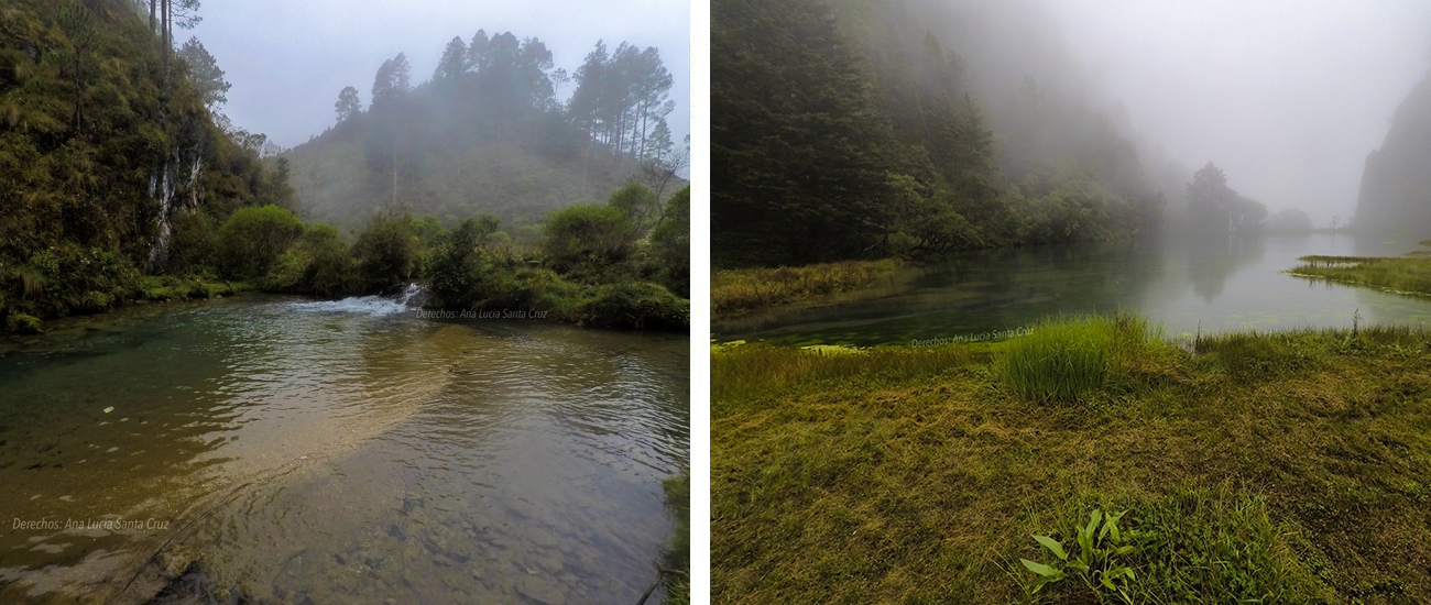 LAGUNA MAGDALENA