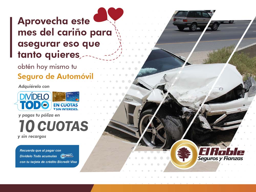 SEGUROS EL ROBLE