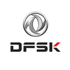  DFSK