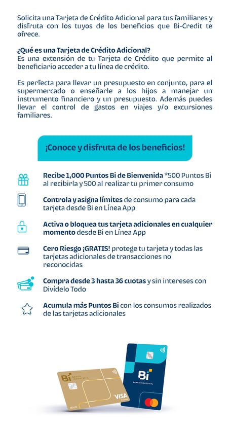 infografia adicional nueva